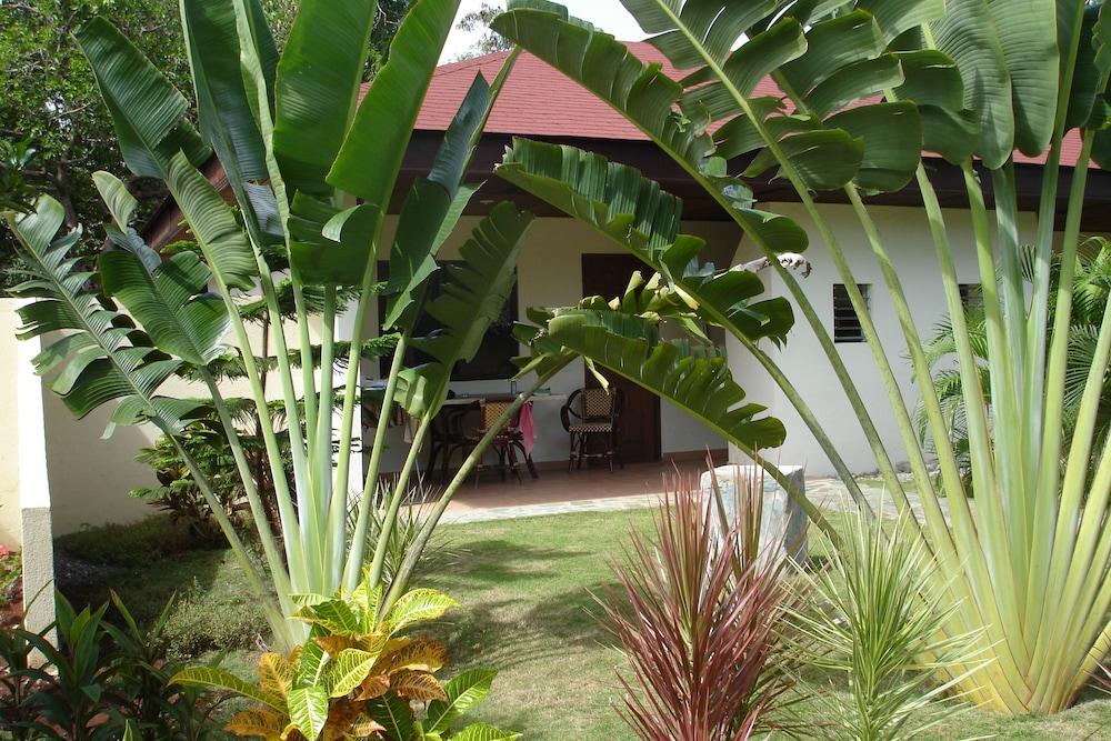 Alona Swiss 3* Panglao