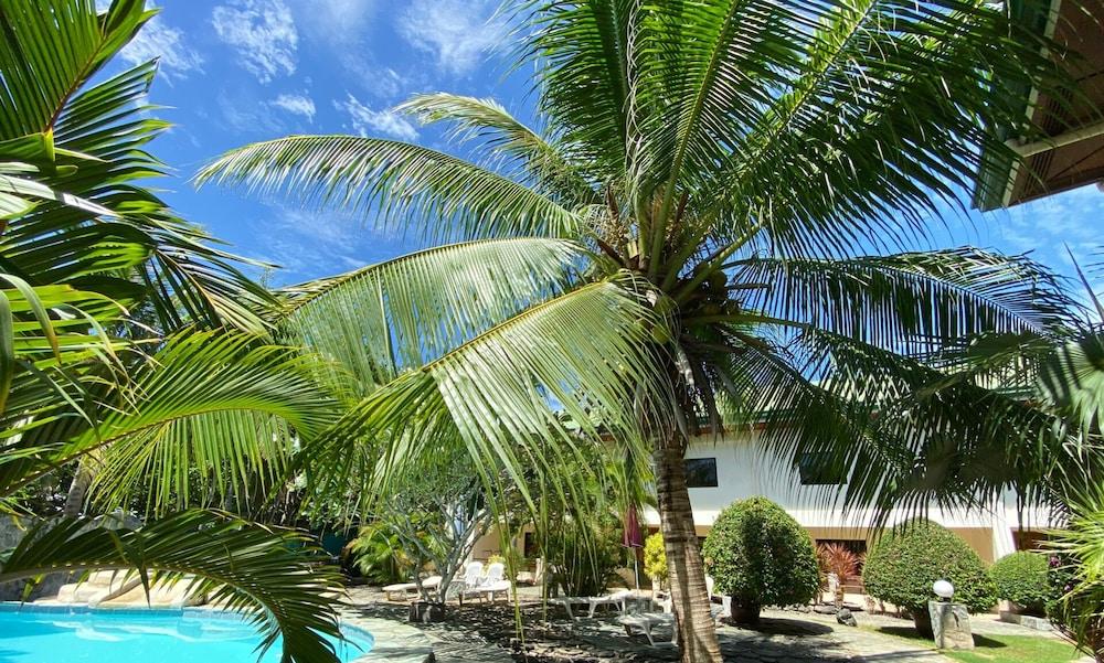 Alona Swiss 3* Panglao