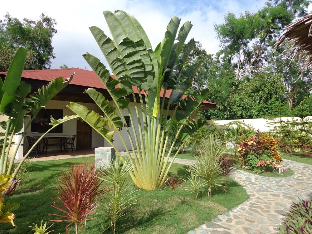 Alona Swiss 3* Panglao