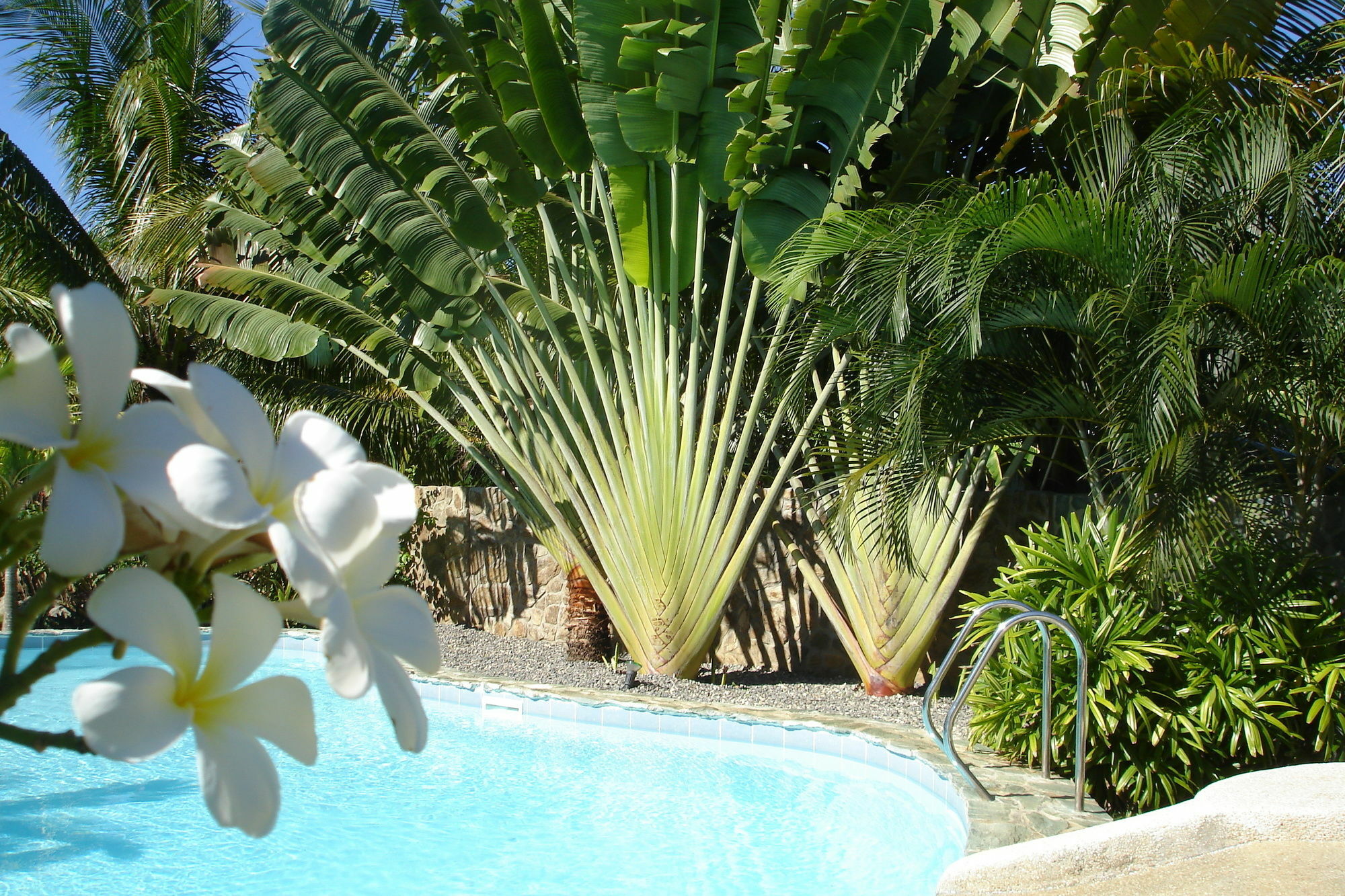 Resort Alona Swiss 3*